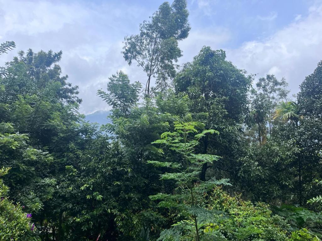 Le Farmhouse Munnar Anachal Exterior foto